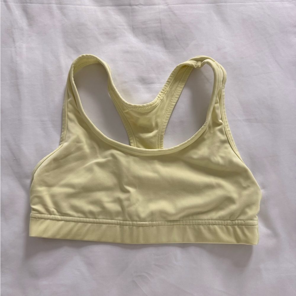 Aritzia Sports Bra